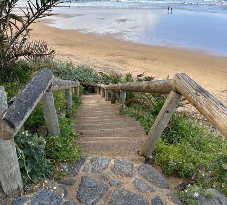 Abgang zum Strand Holztreppe hinab zu Strand von Büschen und Bodendeckern eingerahmt mit verwittertem Holzgeländer